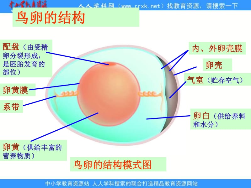 第590页